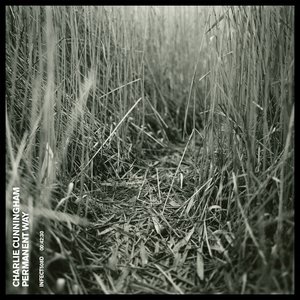 Permanent Way — Charlie Cunningham