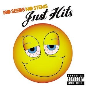 No Seeds, No Stems, Just Hits — Afroman