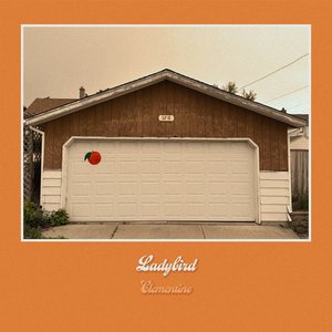 Clementine — Ladybird