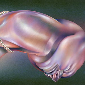 The Warping — Walt Disco