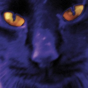 Bobbie's a Girl — David Kilgour