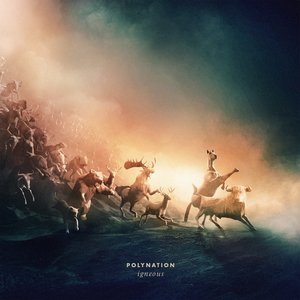 Igneous — PolyNation