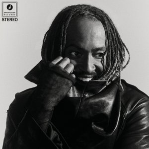 Distracted — Thundercat