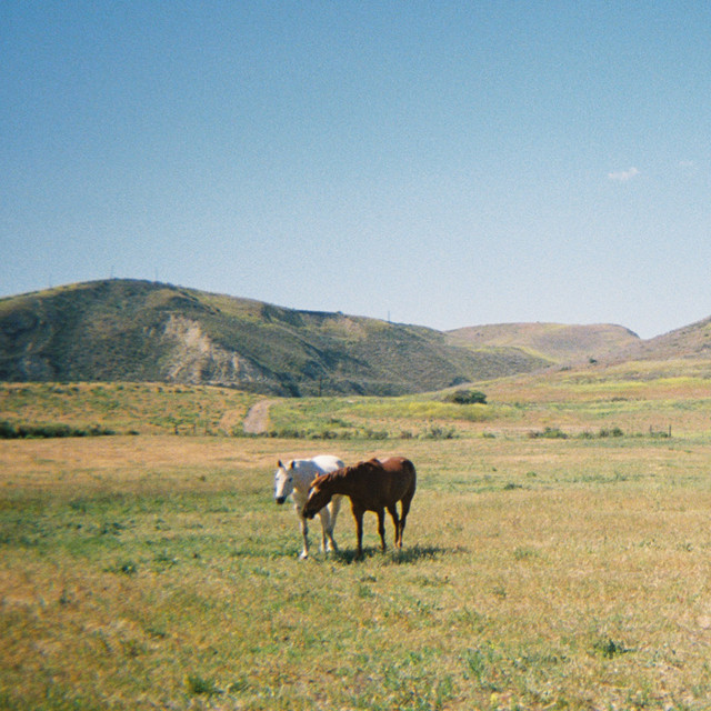 Do I Like You Like That? — Justin Jay, EVA