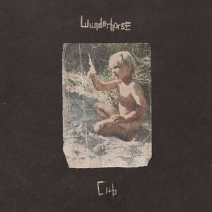 Cub — Wunderhorse