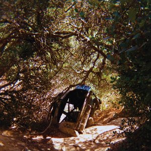 Possession — Ty Segall