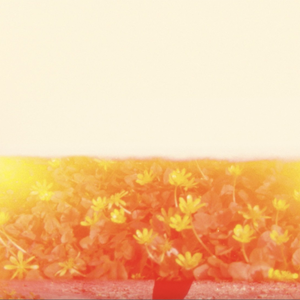 lost — Soccer Mommy