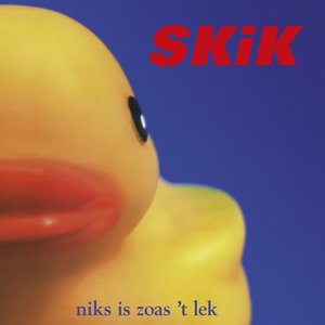 Niks Is Zoas 't Lek — Skik