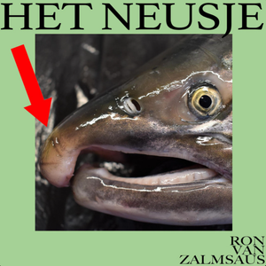 Het Neusje — Ron van Zalmsaus