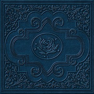 Cold Roses — Ryan Adams & The Cardinals