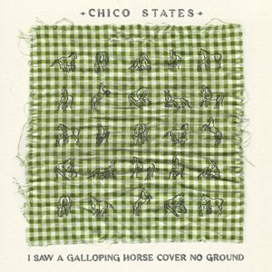I Saw A Galloping Horse Cover No Ground — Chico States