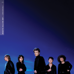 Irreversible — Brigitte Calls Me Baby