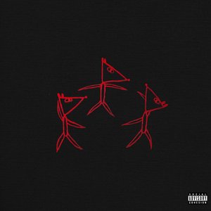 SOCIAL COHESION — Mudrat