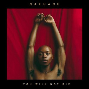 You Will Not Die — Nakhane