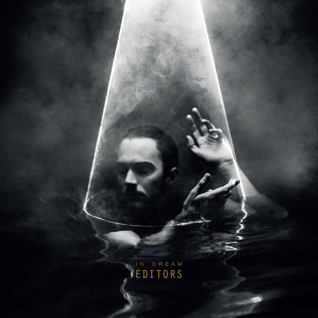 In Dream (Deluxe Version) — Editors