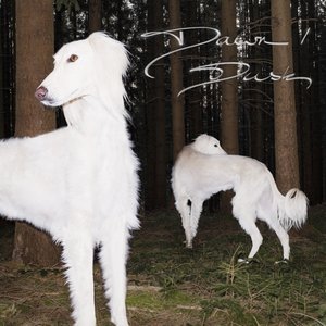 Dawn/Dusk — sam de nef