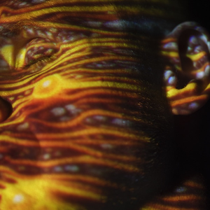 Horizon — Joris Voorn