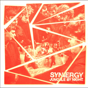 Synergy Remixes — Jungle by Night