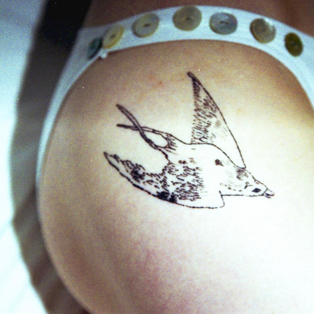 Crash Landing — mary in the junkyard