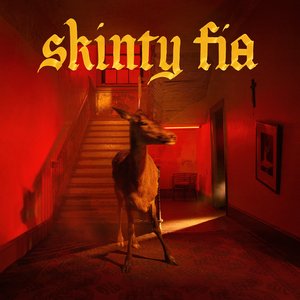 Skinty Fia — Fontaines D.C.