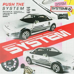 system — Salute