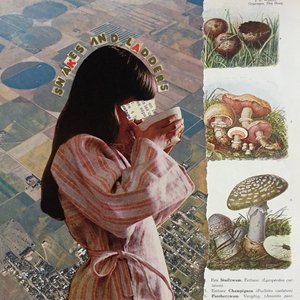 Snakes and Ladders — Fuzzy Teeth